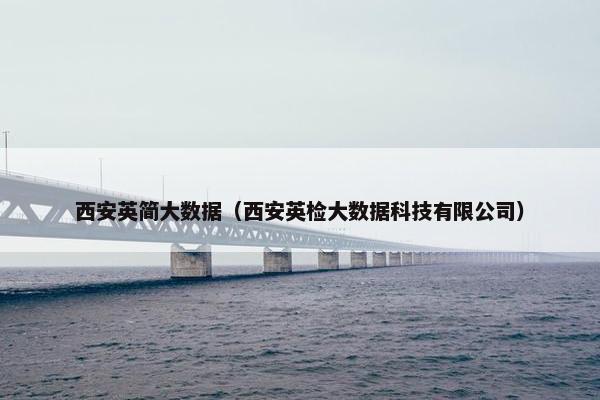 西安英简大数据（西安英检大数据科技有限公司）