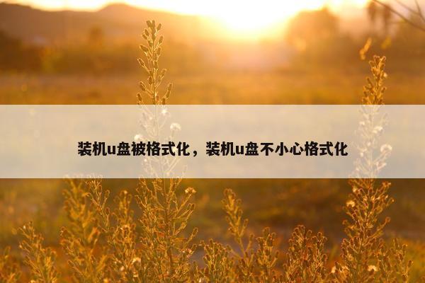 装机u盘被格式化,装机u盘不小心格式化