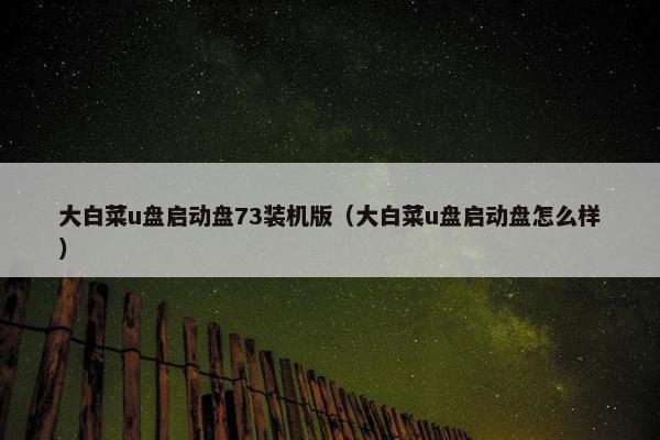 大白菜u盘启动盘73装机版(大白菜u盘启动盘怎么样)