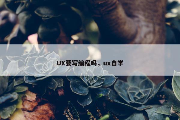 UX要写编程吗,ux自学