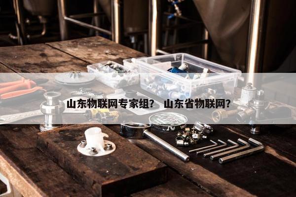 山东物联网专家组? 山东省物联网?