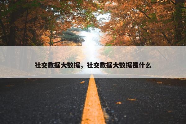 社交数据大数据,社交数据大数据是什么