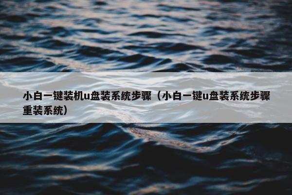 小白一键装机u盘装系统步骤(小白一键u盘装系统步骤重装系统)