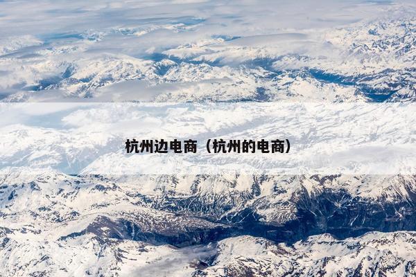 杭州边电商(杭州的电商)