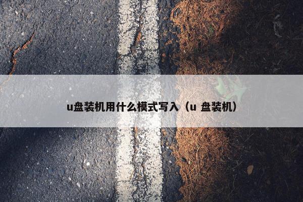 u盘装机用什么模式写入(u 盘装机) u盘装机用什么模式写入(u 盘装机)