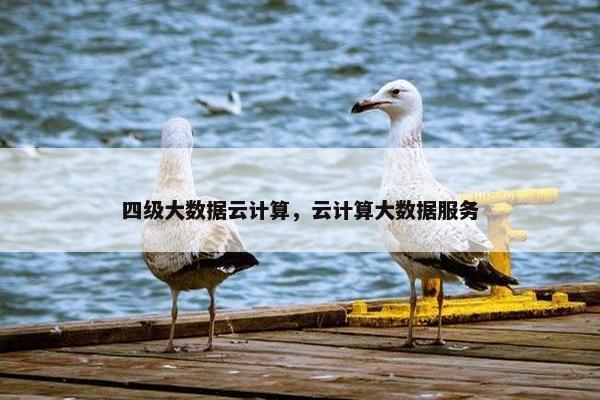 四级大数据云计算,云计算大数据服务