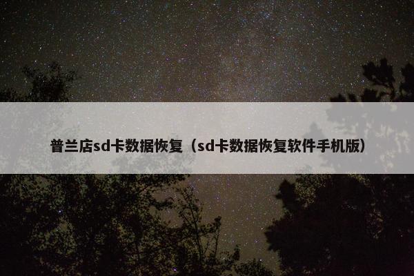 普兰店sd卡数据恢复(sd卡数据恢复软件手机版)