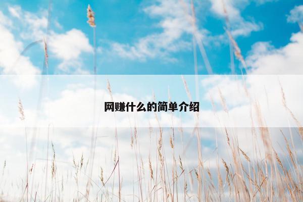 网赚什么的简单介绍