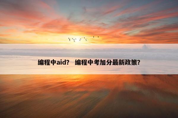 编程中aid? 编程中考加分最新政策?