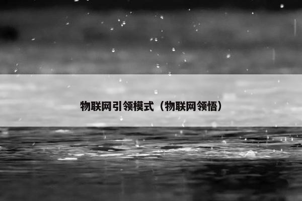 物联网引领模式(物联网领悟)