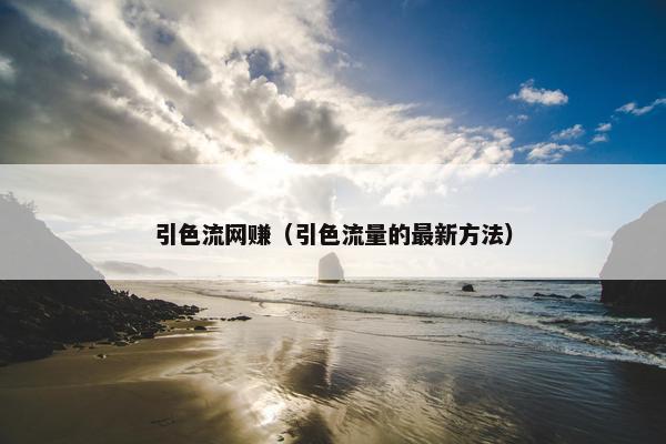 引色流网赚（引色流量的最新方法）