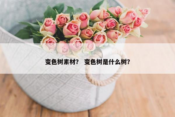 变色树素材? 变色树是什么树? 变色树素材? 变色树是什么树?