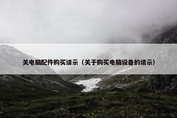 关电脑配件购买请示(关于购买电脑设备的请示)