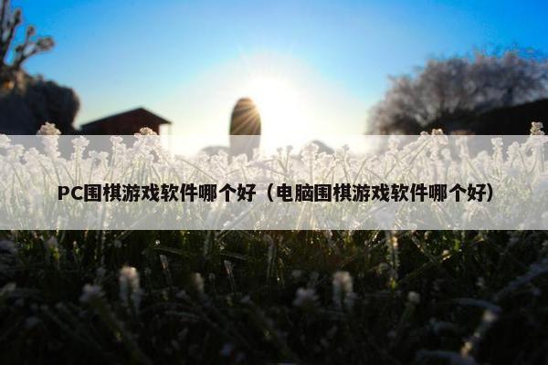 PC围棋游戏软件哪个好(电脑围棋游戏软件哪个好) PC围棋游戏软件哪个好(电脑围棋游戏软件哪个好)