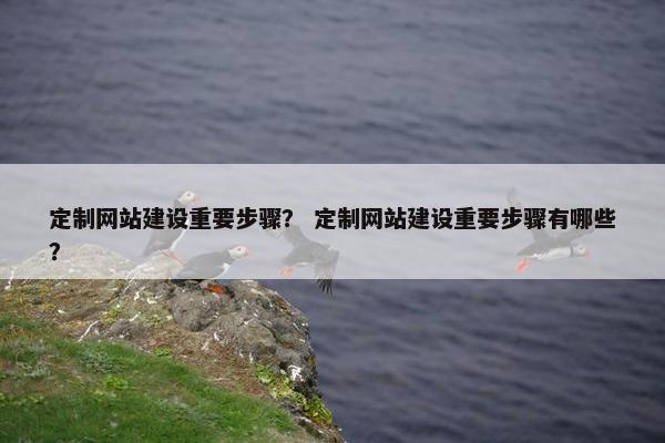 定制网站建设重要步骤? 定制网站建设重要步骤有哪些?