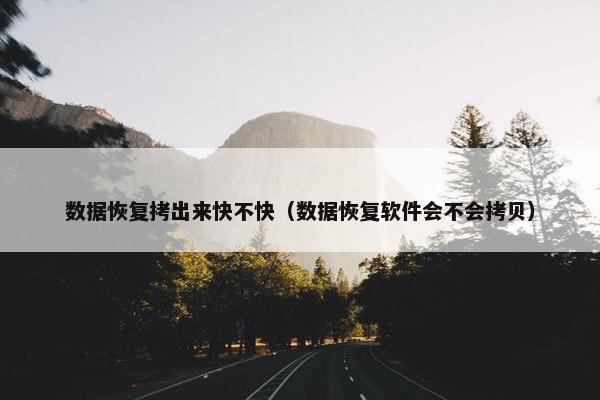 数据恢复拷出来快不快(数据恢复软件会不会拷贝)