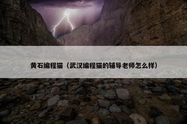 黄石编程猫(武汉编程猫的辅导老师怎么样) 黄石编程猫(武汉编程猫的辅导老师怎么样)