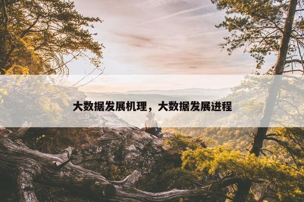 大数据发展机理,大数据发展进程