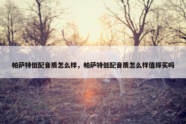 帕萨特低配音质怎么样,帕萨特低配音质怎么样值得买吗 帕萨特低配音质怎么样,帕萨特低配音质怎么样值得买吗