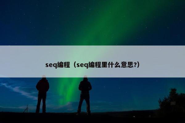 seq编程(seq编程里什么意思?) seq编程(seq编程里什么意思?)