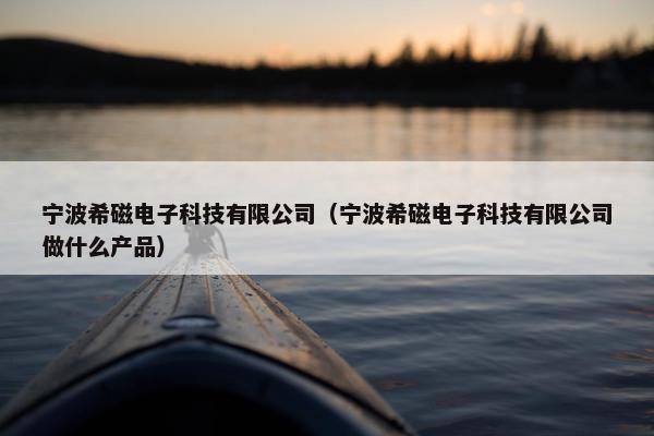 宁波希磁电子科技有限公司（宁波希磁电子科技有限公司做什么产品）