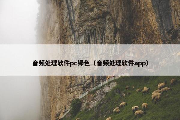 音频处理软件pc绿色(音频处理软件app)