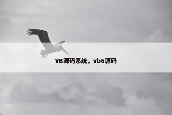 VB源码系统,vb6源码