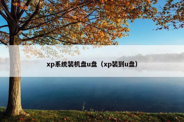 xp系统装机盘u盘(xp装到u盘) xp系统装机盘u盘(xp装到u盘)
