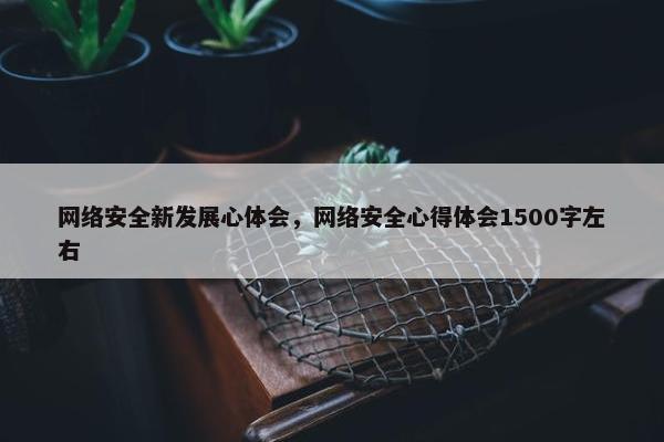 网络安全新发展心体会,网络安全心得体会1500字左右