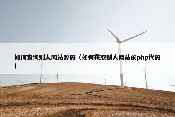 如何查询别人网站源码(如何获取别人网站的php代码) 如何查询别人网站源码(如何获取别人网站的php代码)