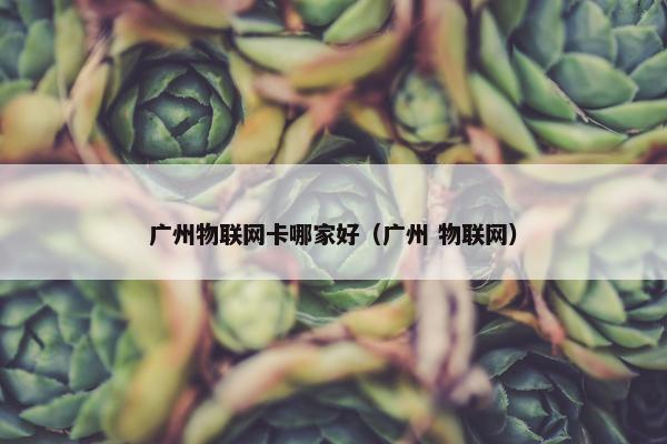 广州物联网卡哪家好（广州 物联网）