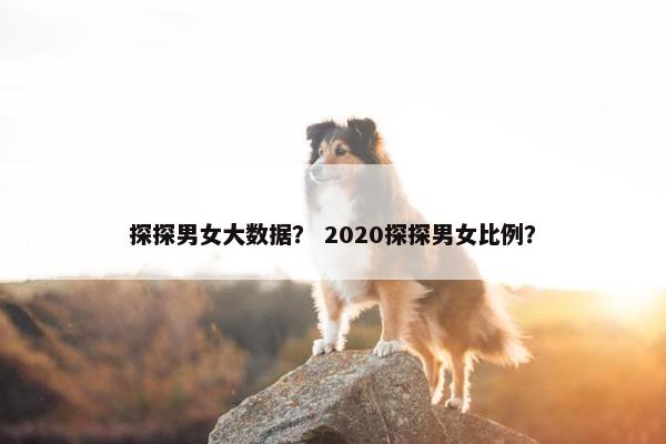 探探男女大数据？ 2020探探男女比例？
