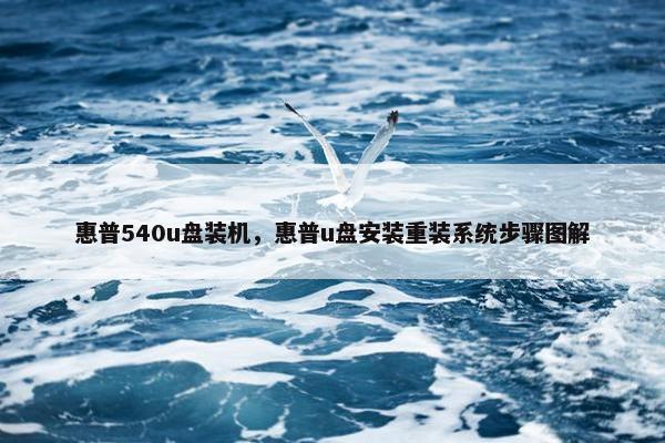 惠普540u盘装机，惠普u盘安装重装系统步骤图解