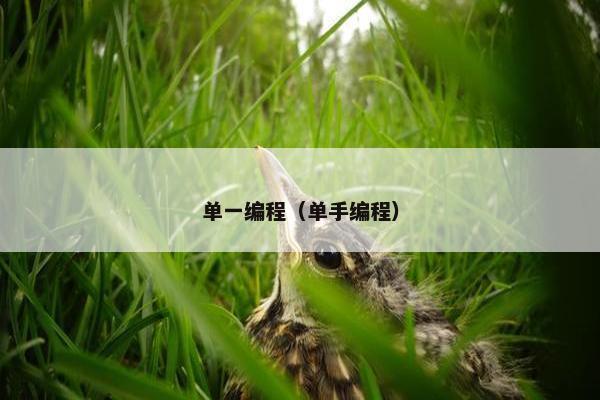 单一编程（单手编程）