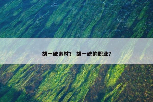 胡一统素材？ 胡一统的职业？