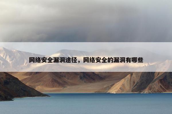 网络安全漏洞途径，网络安全的漏洞有哪些