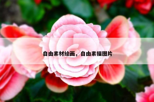 自由素材绘画,自由素描图片 自由素材绘画,自由素描图片