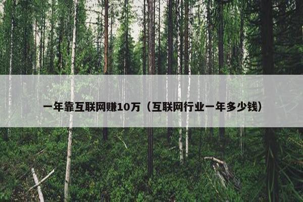 一年靠互联网赚10万(互联网行业一年多少钱) 一年靠互联网赚10万(互联网行业一年多少钱)