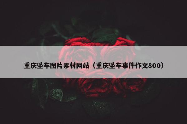 重庆坠车图片素材网站(重庆坠车事件作文800)