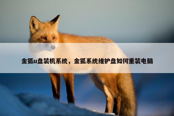 金狐u盘装机系统，金狐系统维护盘如何重装电脑