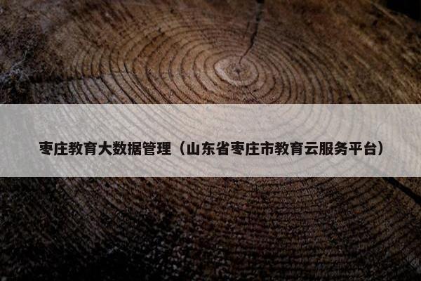 枣庄教育大数据管理(山东省枣庄市教育云服务平台) 枣庄教育大数据管理(山东省枣庄市教育云服务平台)