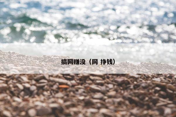 搞网赚没(网 挣钱)