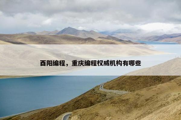 酉阳编程，重庆编程权威机构有哪些