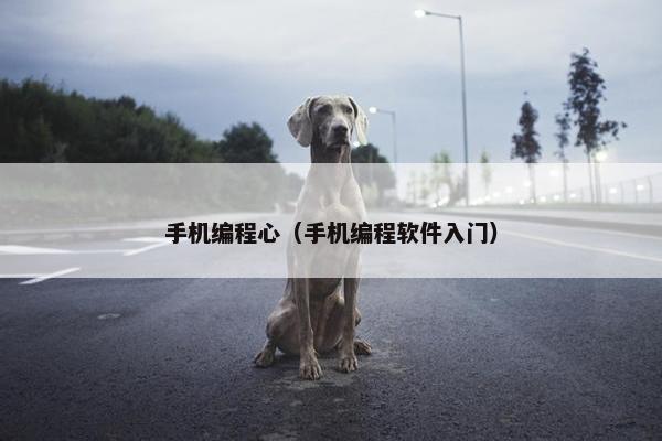 手机编程心（手机编程软件入门）
