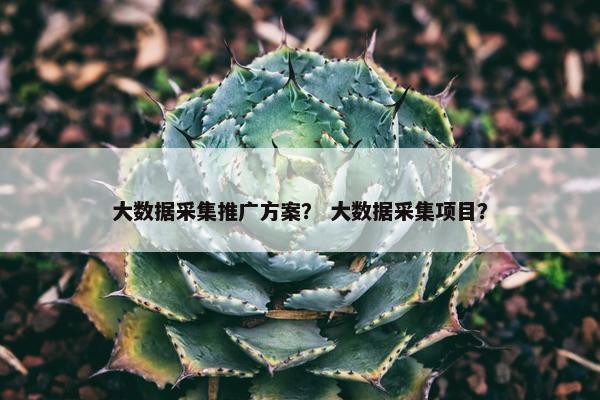 大数据采集推广方案？ 大数据采集项目？