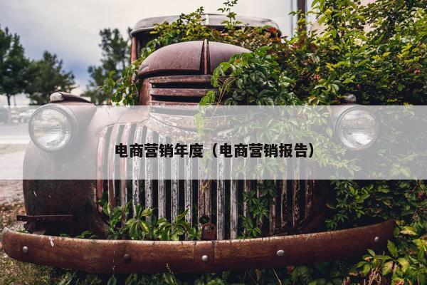 电商营销年度（电商营销报告）