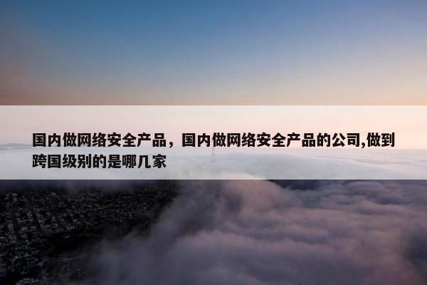国内做网络安全产品，国内做网络安全产品的公司,做到跨国级别的是哪几家