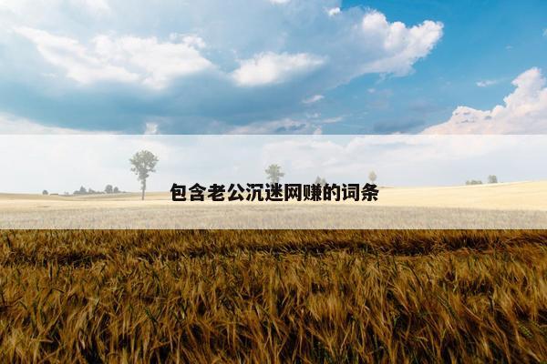 包含老公沉迷网赚的词条