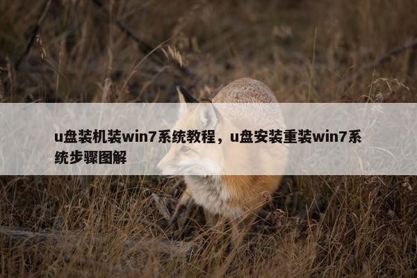 u盘装机装win7系统教程，u盘安装重装win7系统步骤图解