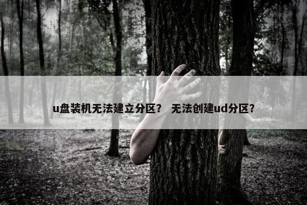 u盘装机无法建立分区？ 无法创建ud分区？